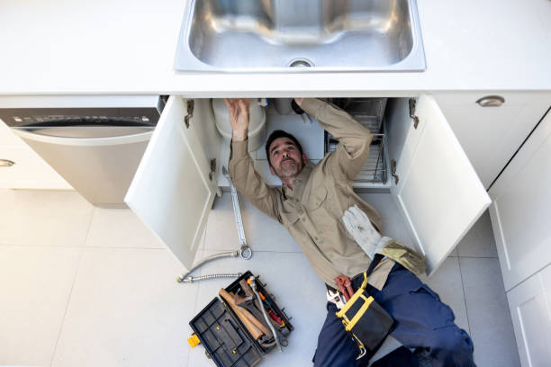 Best Local Plumber Services  in Freeland, PA